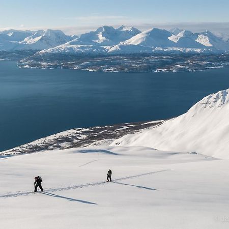 Lyngenfjord,Odins Hus Daire Olderdalen Dış mekan fotoğraf