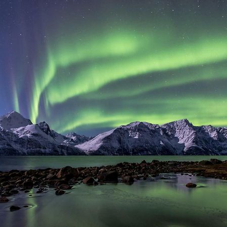 Lyngenfjord,Odins Hus Daire Olderdalen Dış mekan fotoğraf