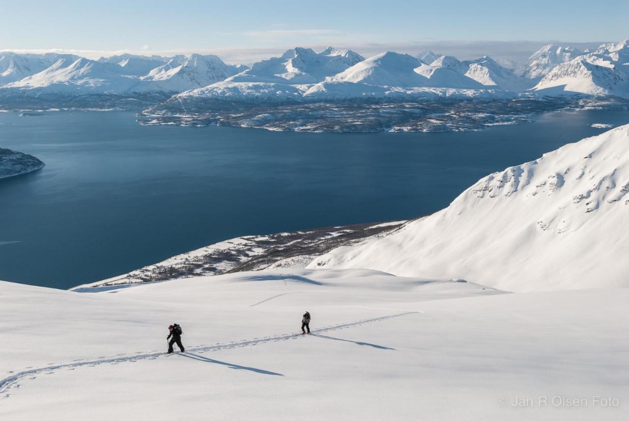 Lyngenfjord,Odins Hus Daire Olderdalen Dış mekan fotoğraf