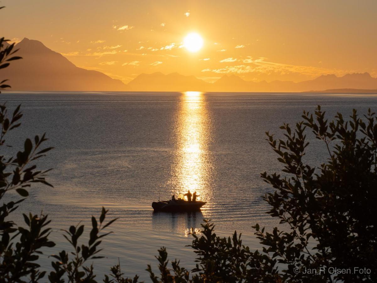 Lyngenfjord,Odins Hus Daire Olderdalen Dış mekan fotoğraf