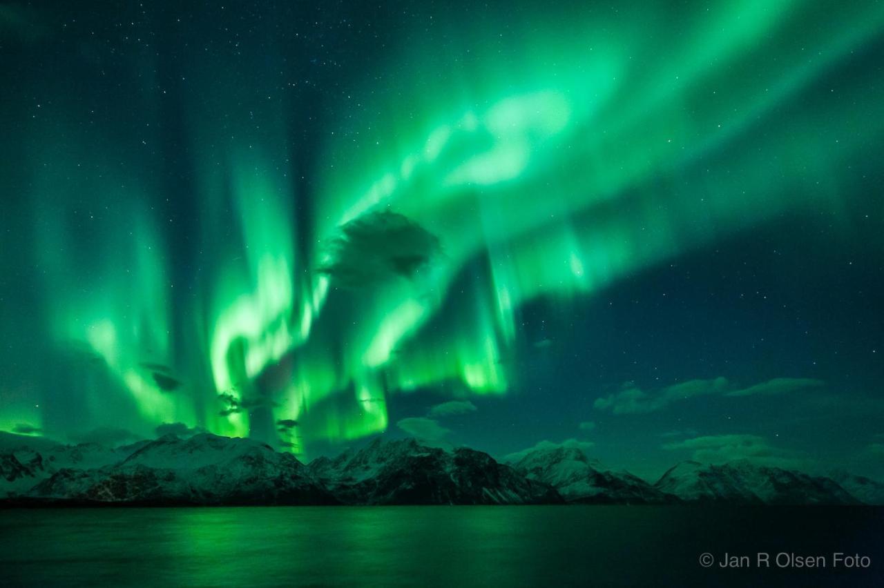 Lyngenfjord,Odins Hus Daire Olderdalen Dış mekan fotoğraf