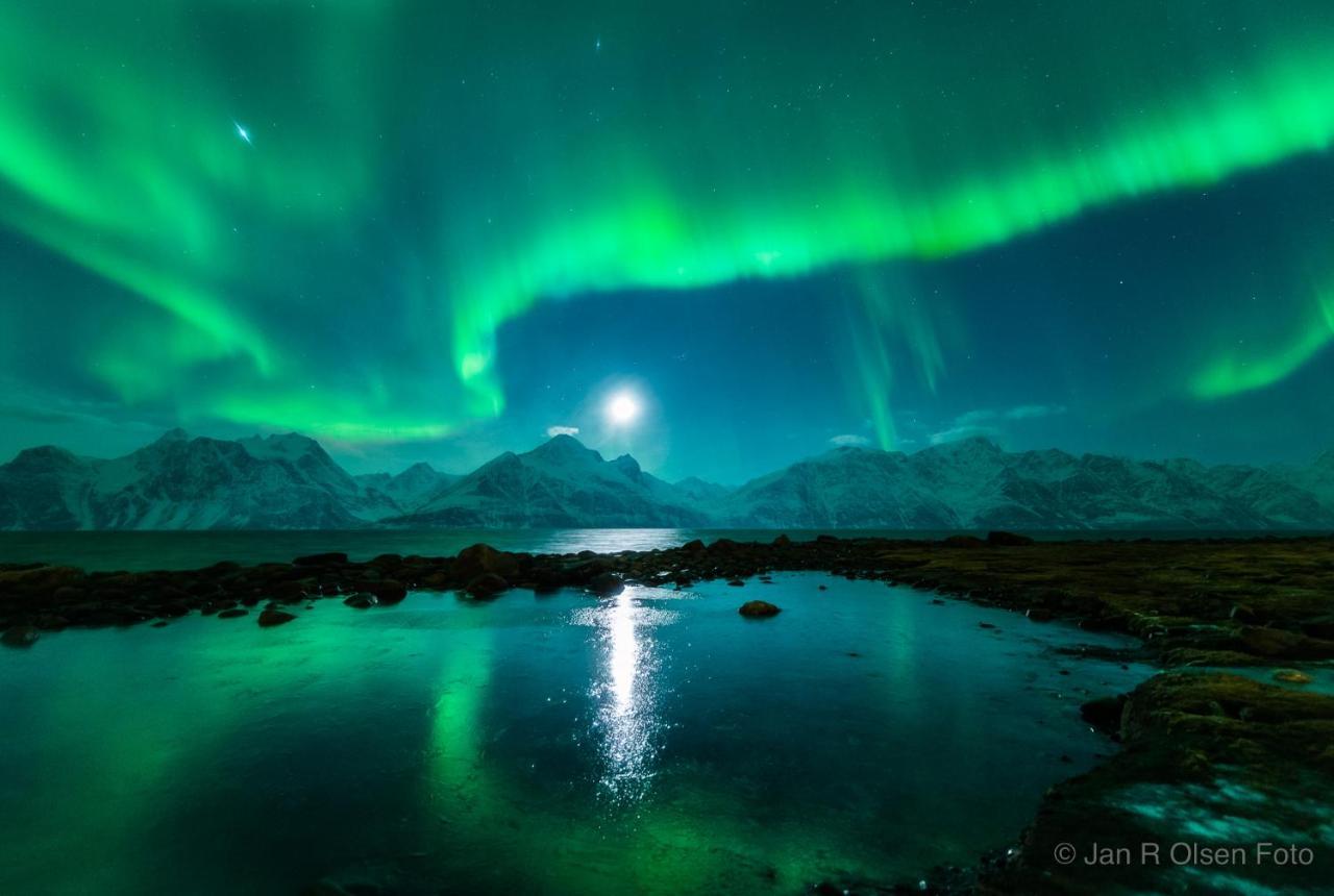 Lyngenfjord,Odins Hus Daire Olderdalen Dış mekan fotoğraf