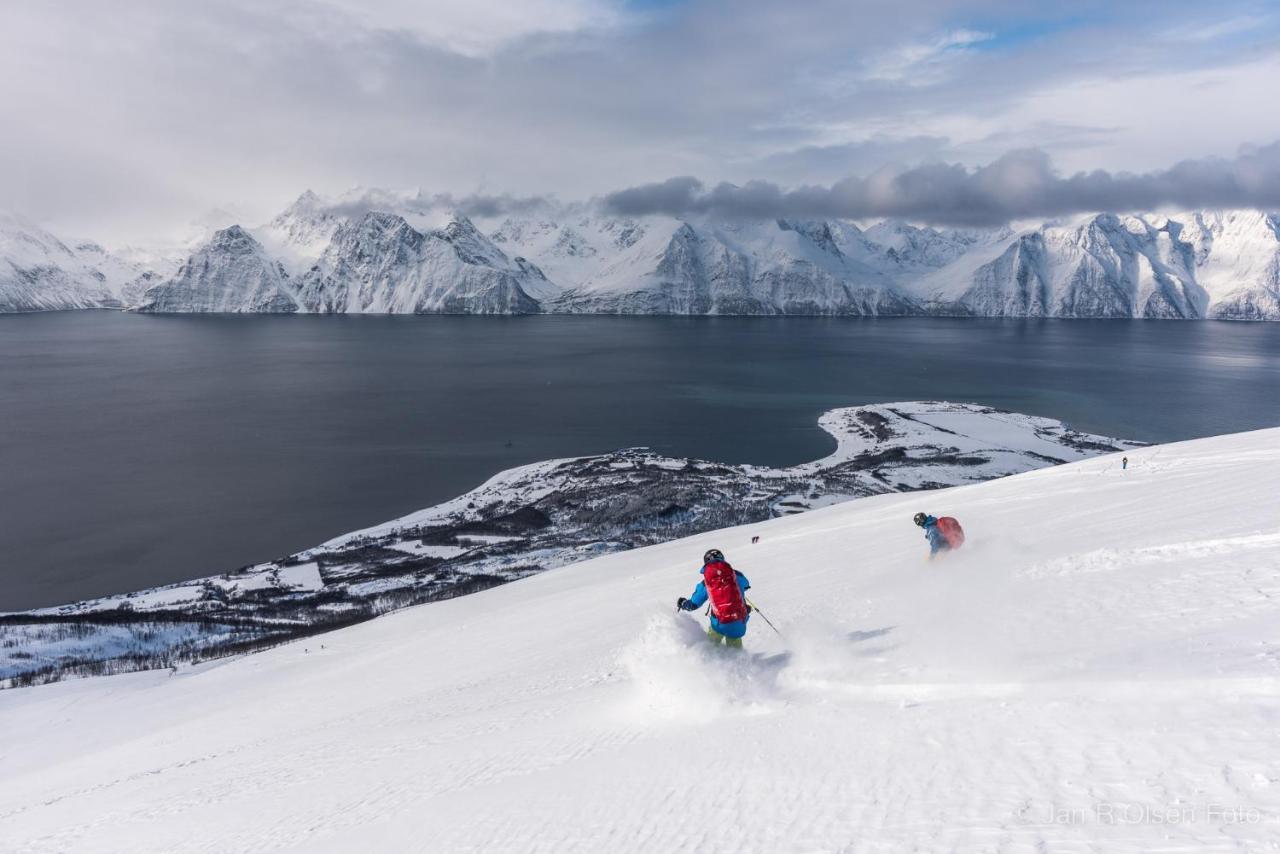 Lyngenfjord,Odins Hus Daire Olderdalen Dış mekan fotoğraf