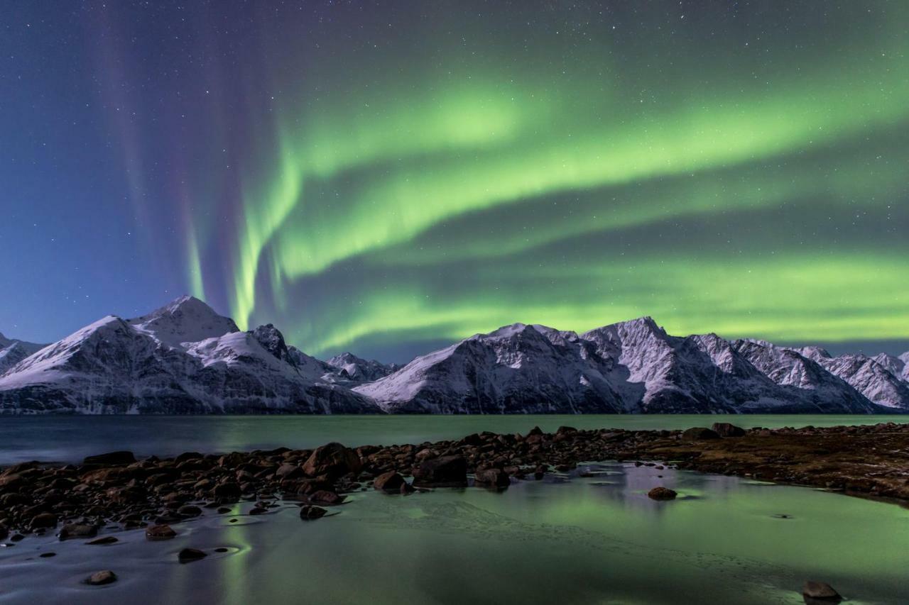 Lyngenfjord,Odins Hus Daire Olderdalen Dış mekan fotoğraf