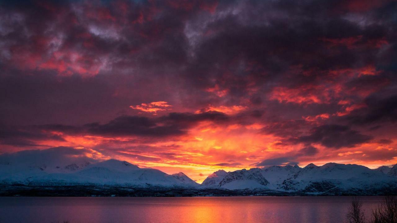 Lyngenfjord,Odins Hus Daire Olderdalen Dış mekan fotoğraf