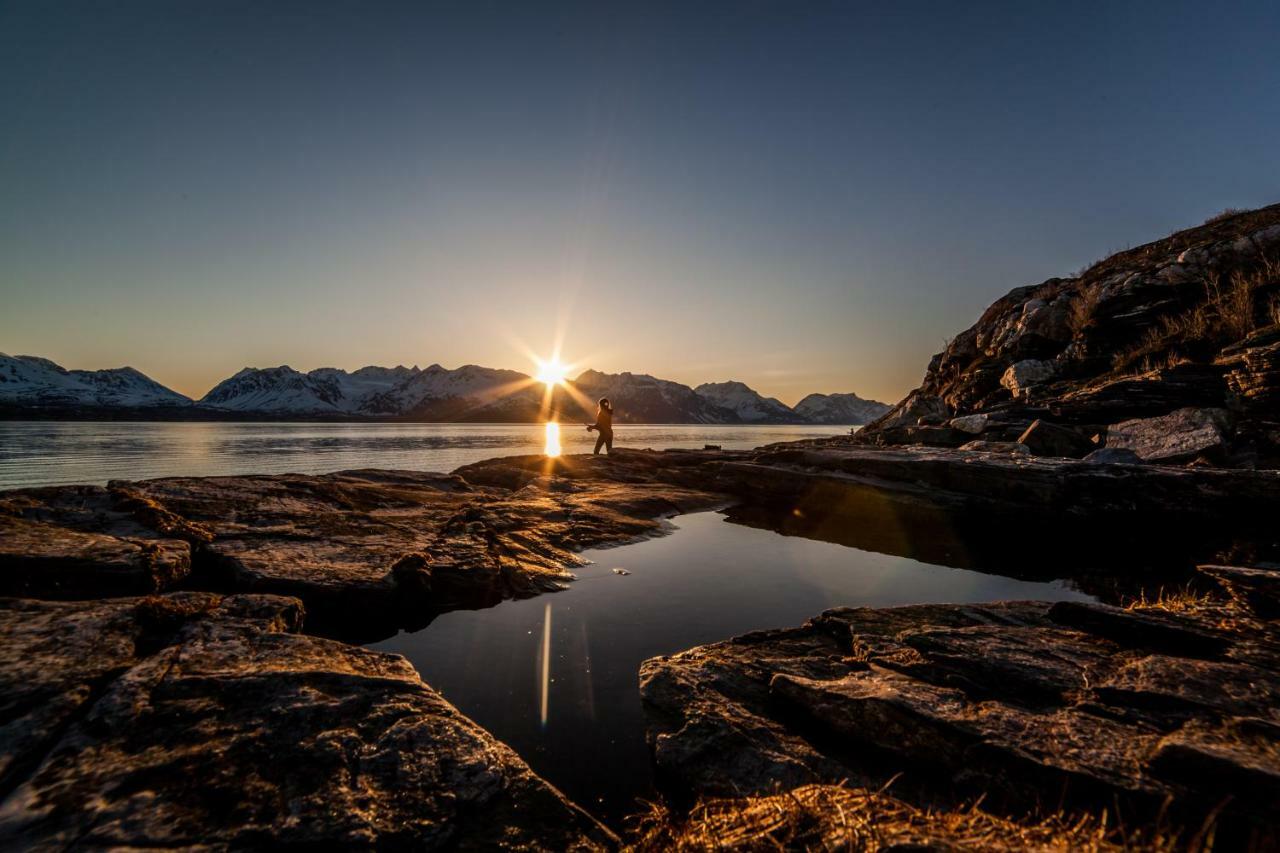 Lyngenfjord,Odins Hus Daire Olderdalen Dış mekan fotoğraf