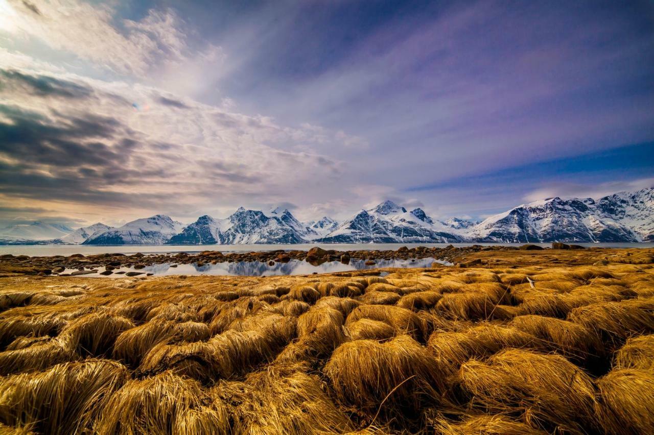 Lyngenfjord,Odins Hus Daire Olderdalen Dış mekan fotoğraf