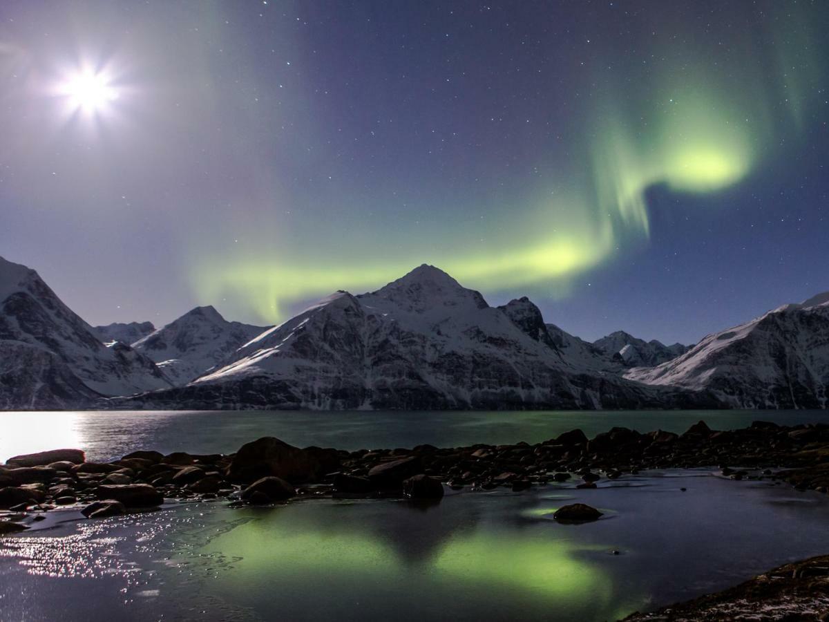 Lyngenfjord,Odins Hus Daire Olderdalen Dış mekan fotoğraf