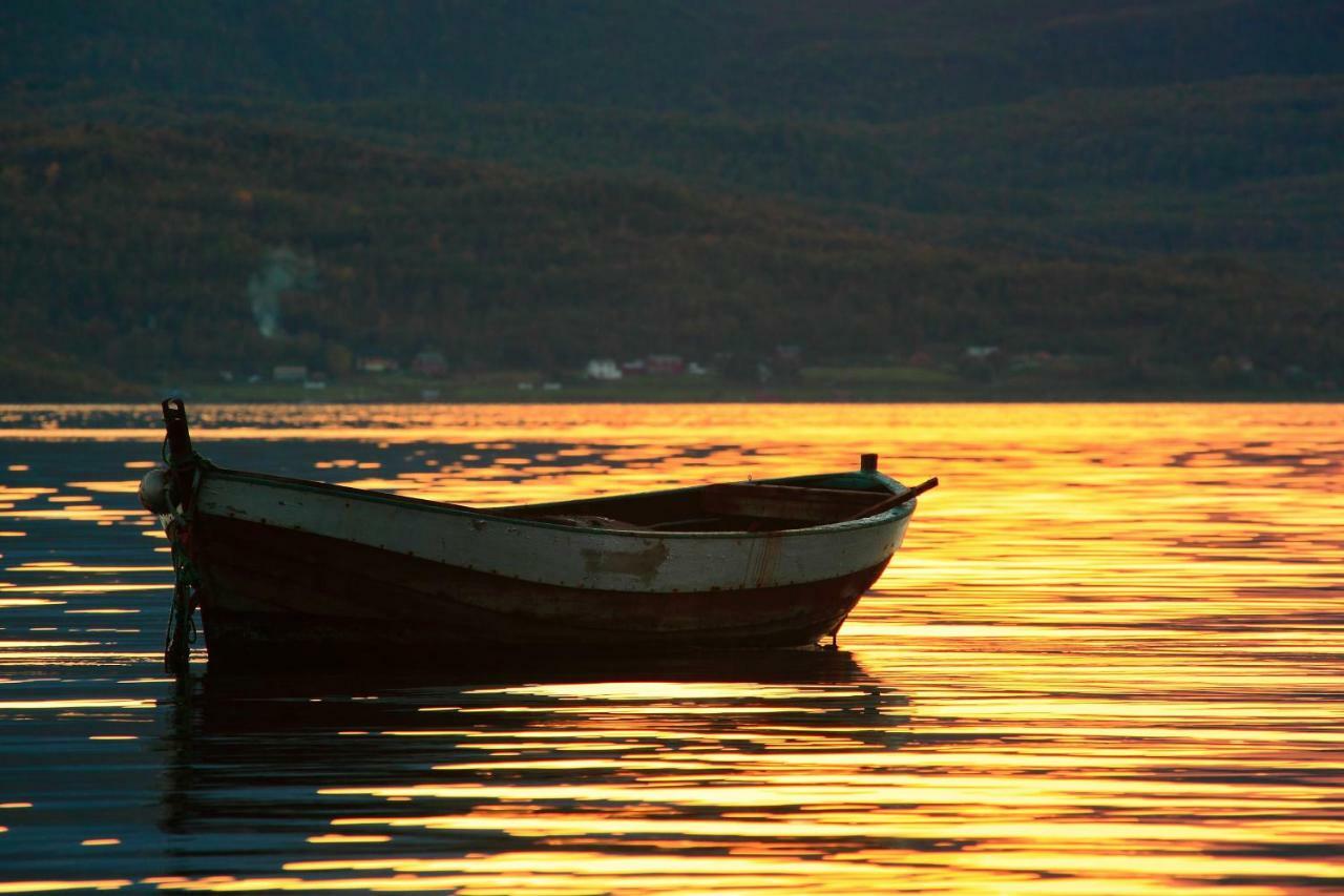 Lyngenfjord,Odins Hus Daire Olderdalen Dış mekan fotoğraf