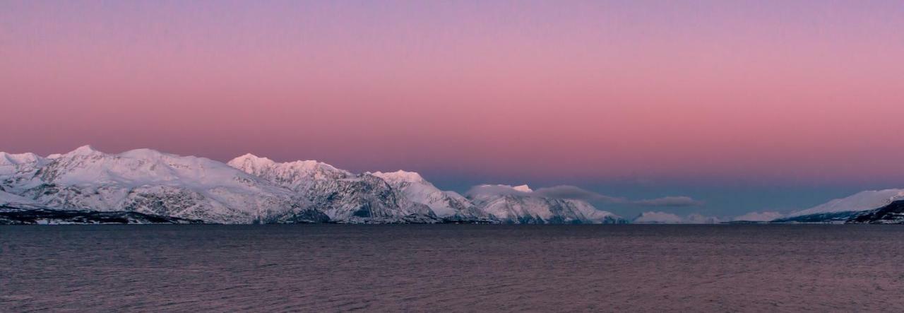 Lyngenfjord,Odins Hus Daire Olderdalen Dış mekan fotoğraf