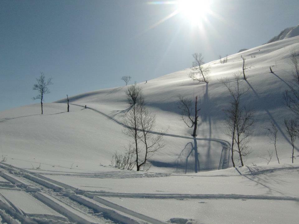 Lyngenfjord,Odins Hus Daire Olderdalen Dış mekan fotoğraf