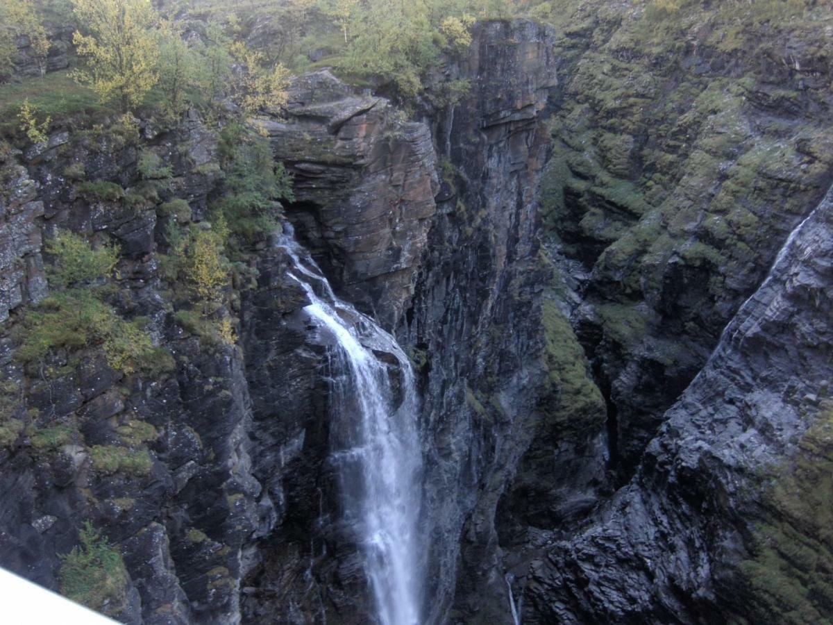 Lyngenfjord,Odins Hus Daire Olderdalen Dış mekan fotoğraf