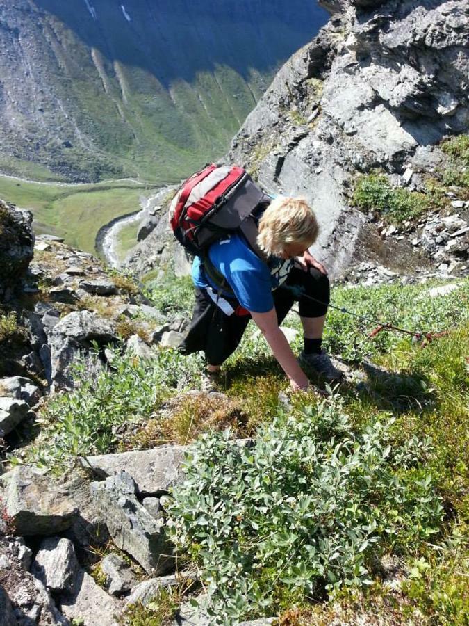 Lyngenfjord,Odins Hus Daire Olderdalen Dış mekan fotoğraf