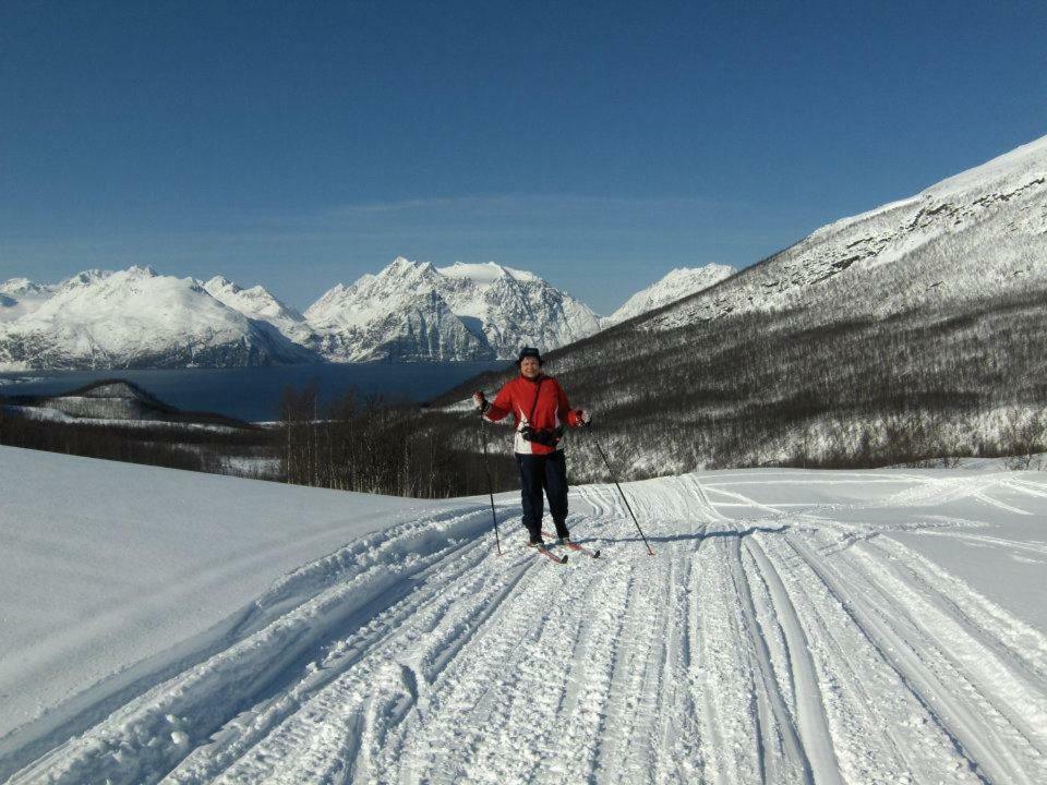 Lyngenfjord,Odins Hus Daire Olderdalen Dış mekan fotoğraf