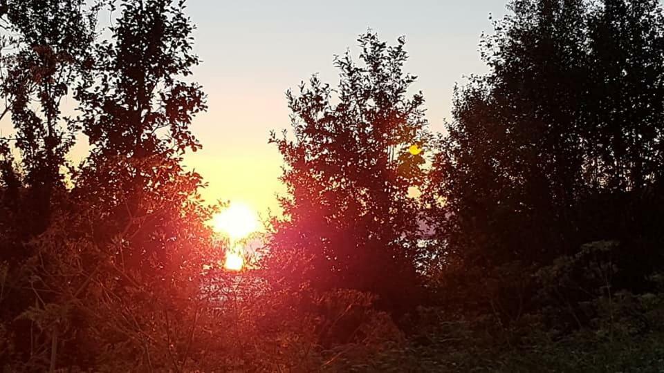 Lyngenfjord,Odins Hus Daire Olderdalen Dış mekan fotoğraf